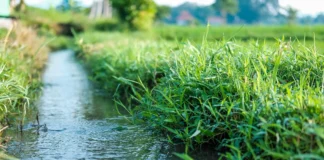 irrigation eau or bleu