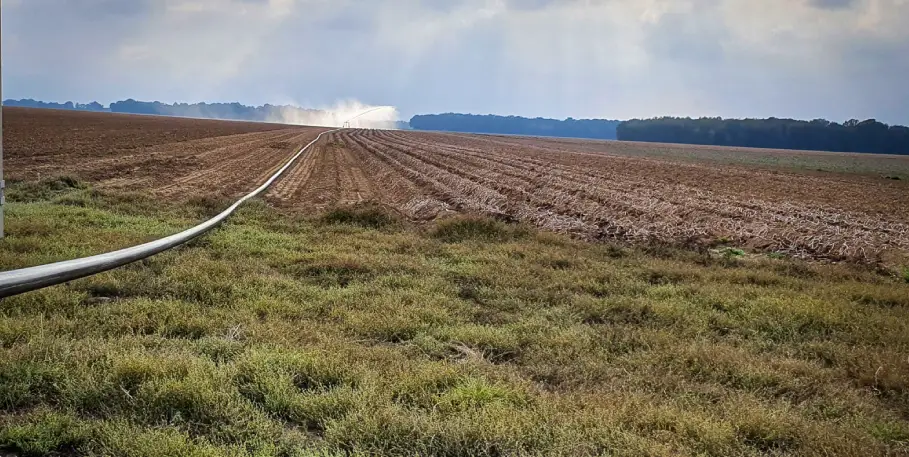 ARRACHAGE, IRRIGATION, POMMES DE TERRE - crédit Nadège PETIT @agri_zoo