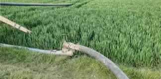 stockage eau irrigation credit Nadège PETIT @agri_zoom