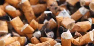 industrie tabac et ecologie 2