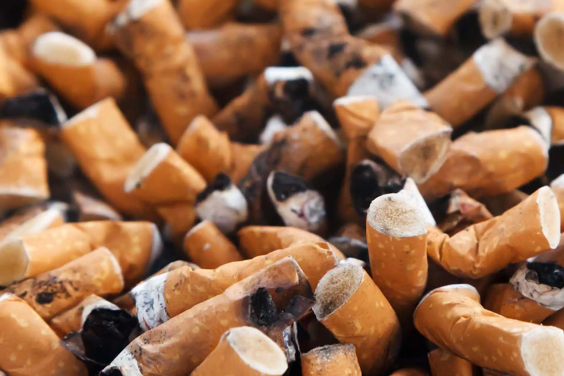 industrie tabac et ecologie 2