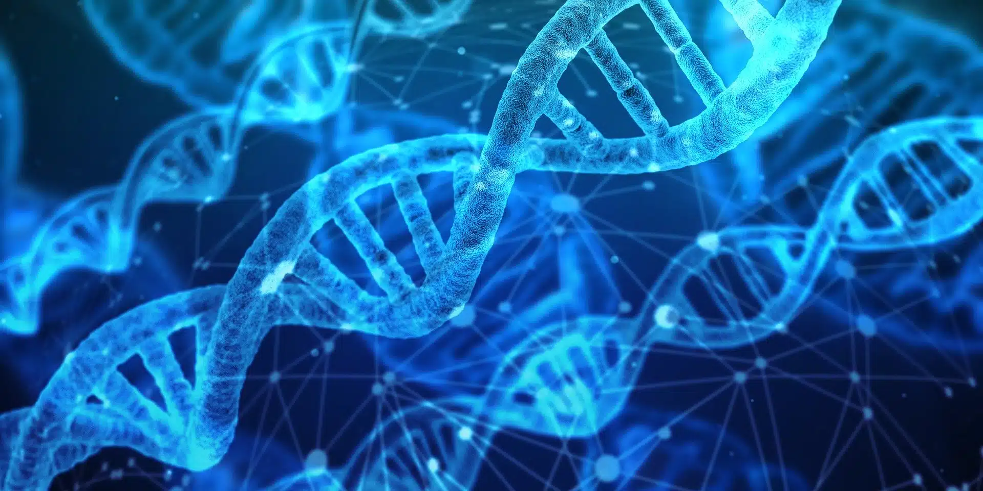 ADN crispr:cas9 biotechnologie