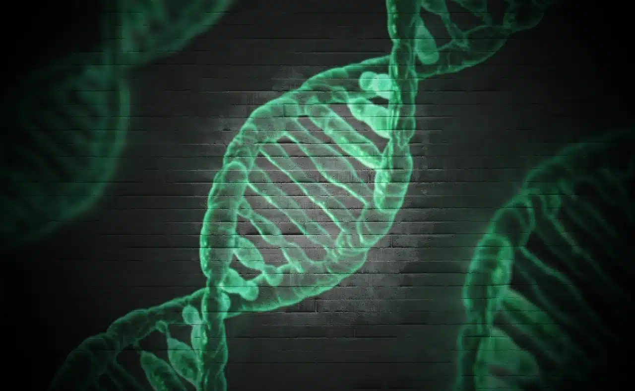 epigenetique ADN genetique