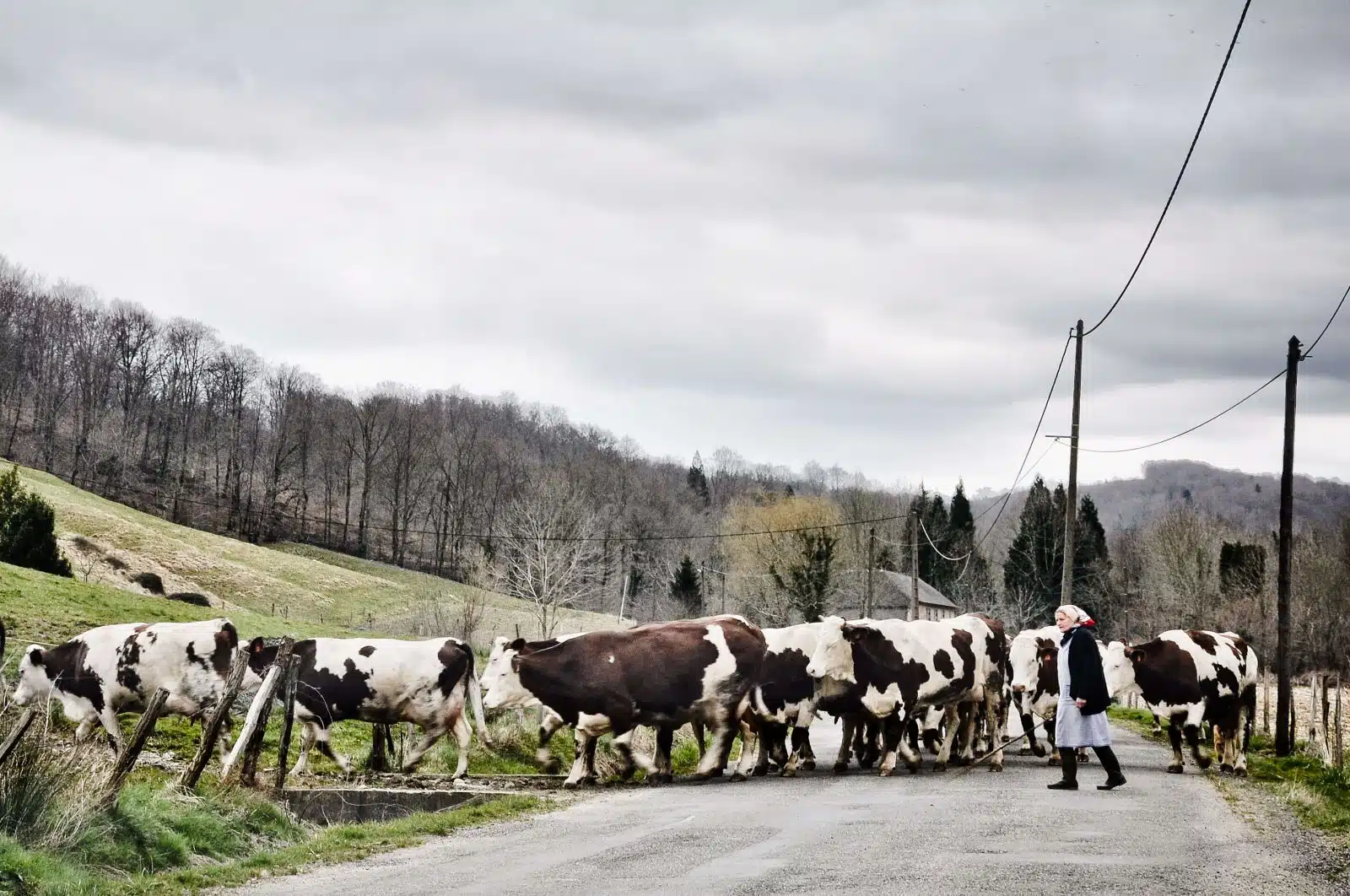 ferme usine greenpeace