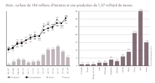 Maïs : surface de 184 millions d'hectares et une production de 1,07 milliards de tonnes