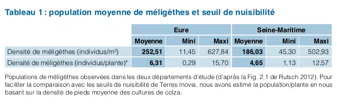 agroecologie meligethes tableau 1
