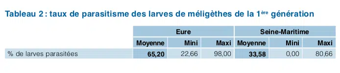 agroecologie meligethes tableau 2