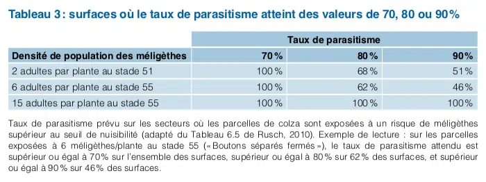 agroecologie meligethes tableau 3