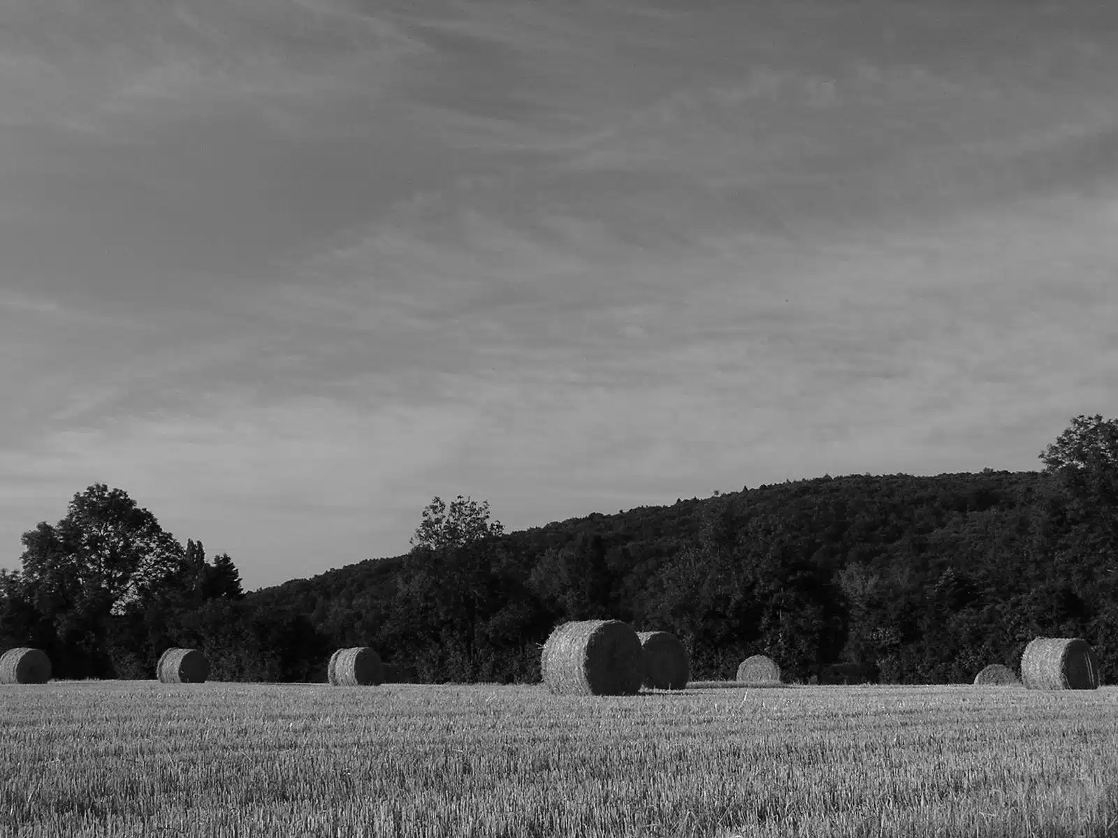 agriculture tradition covid-19