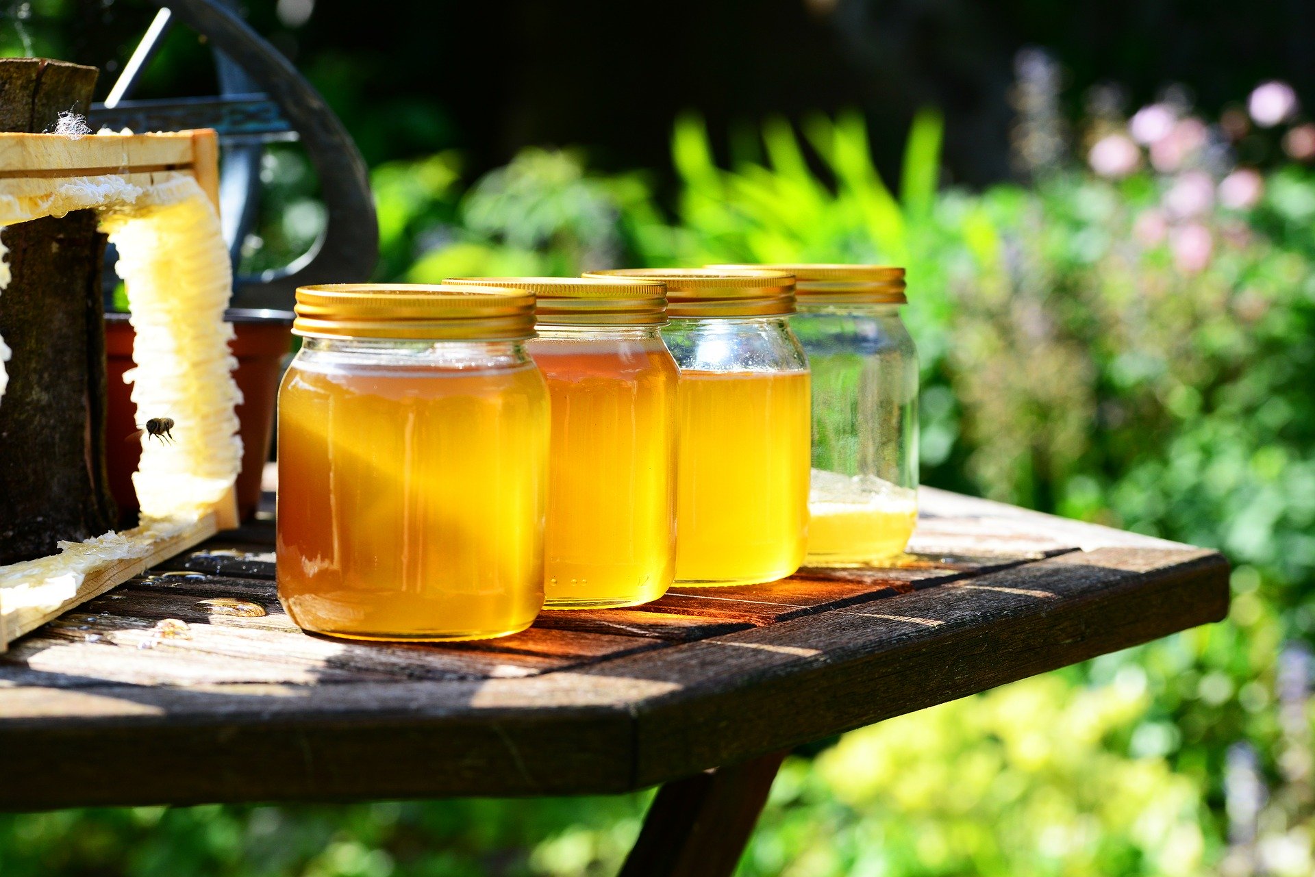 récolte de miel 2020 annee exceptionnelle