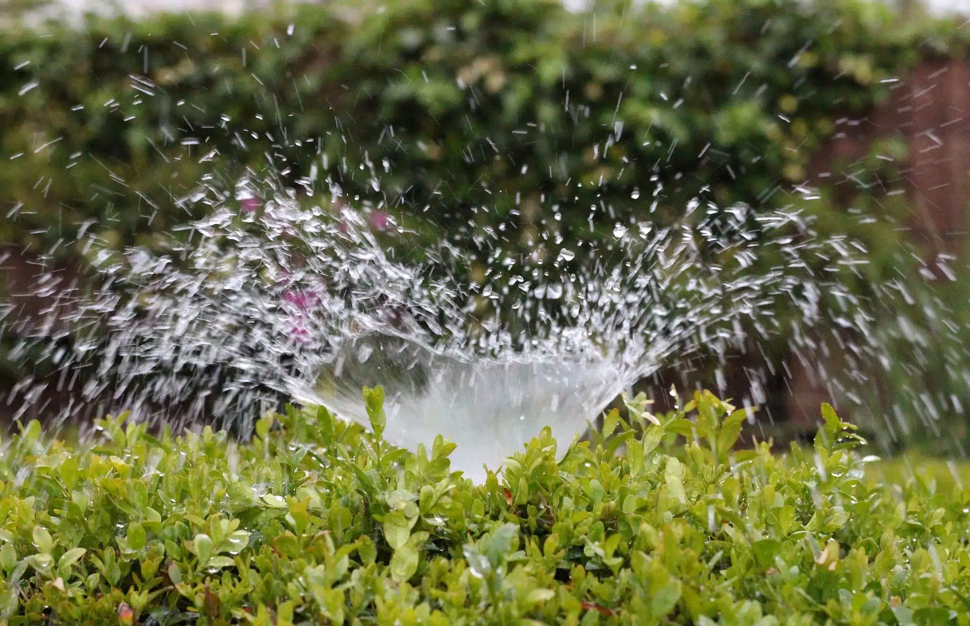 irrigation eau agriculture