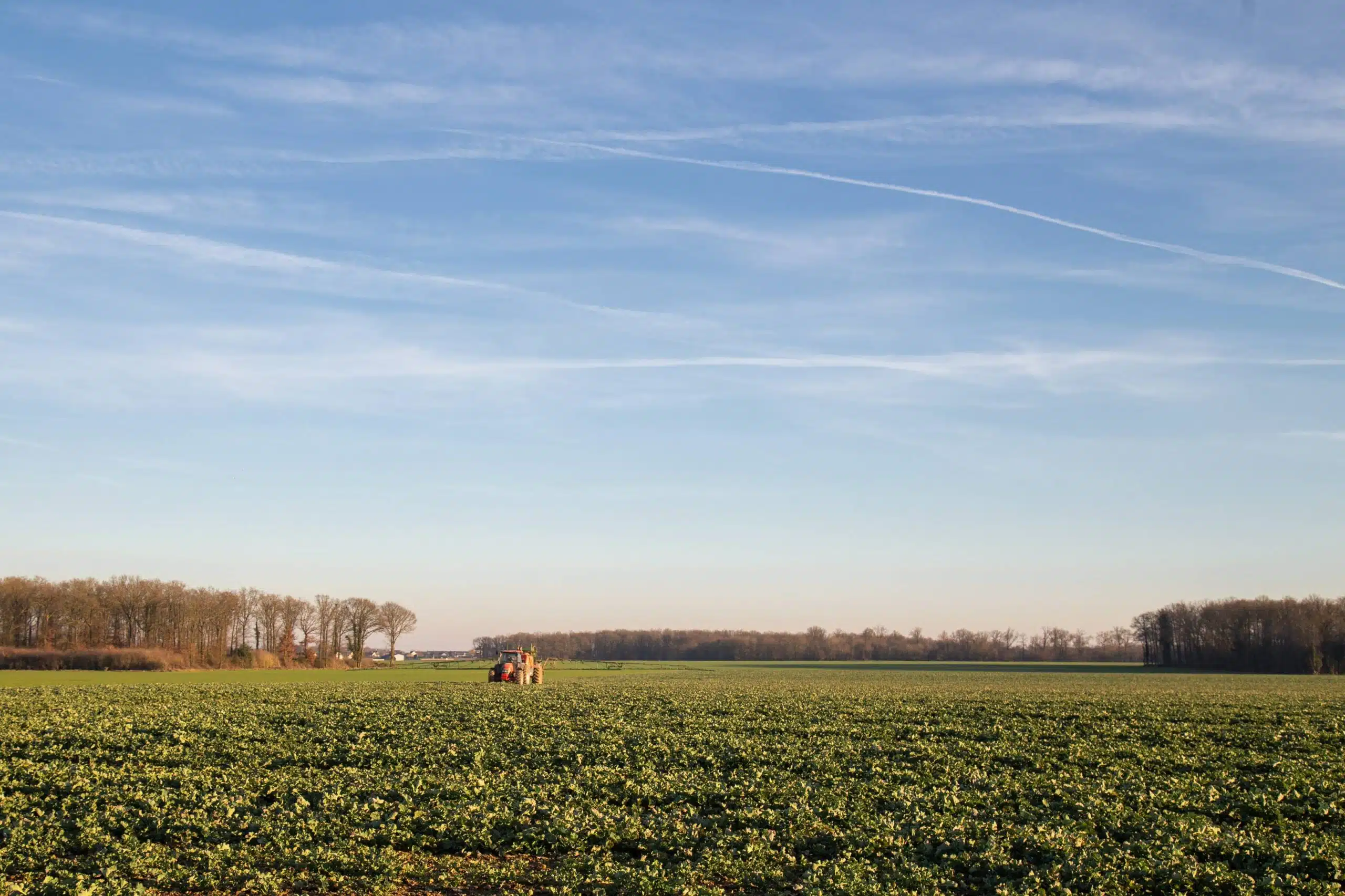 engrais azote credit Nadege Petit @agri_zoom