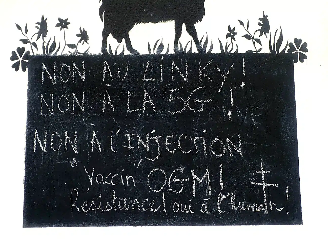 p tit ferme vaccination anti-Covid biteau