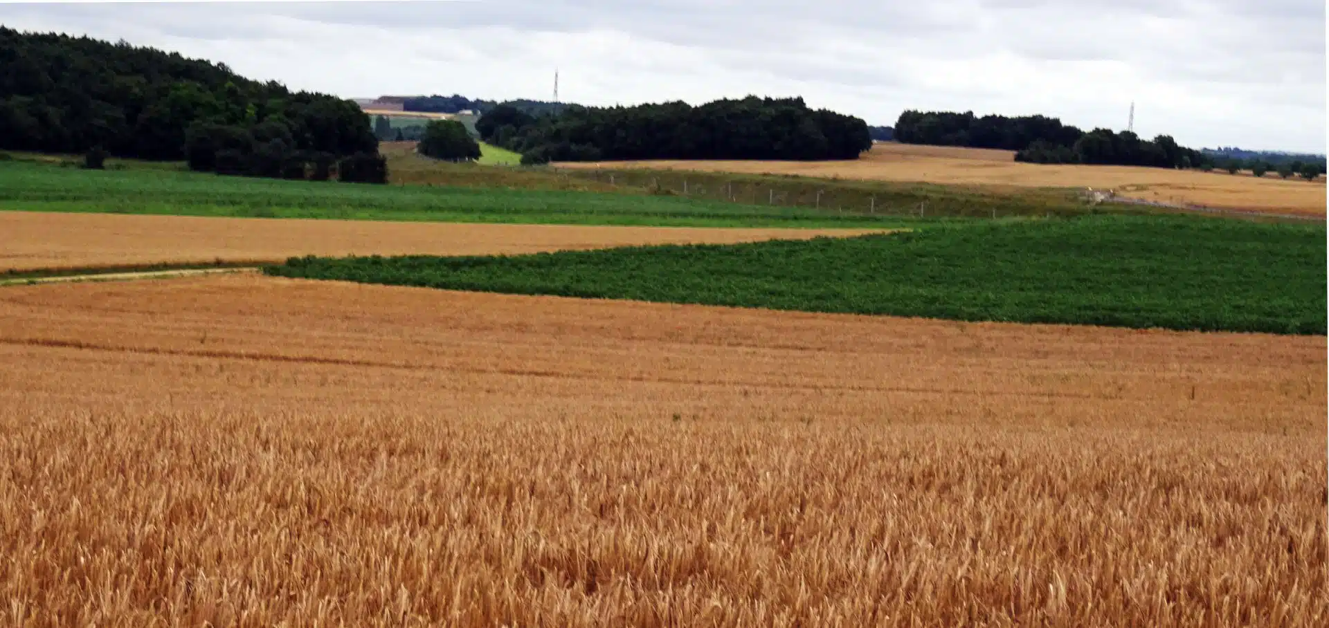 production agricole