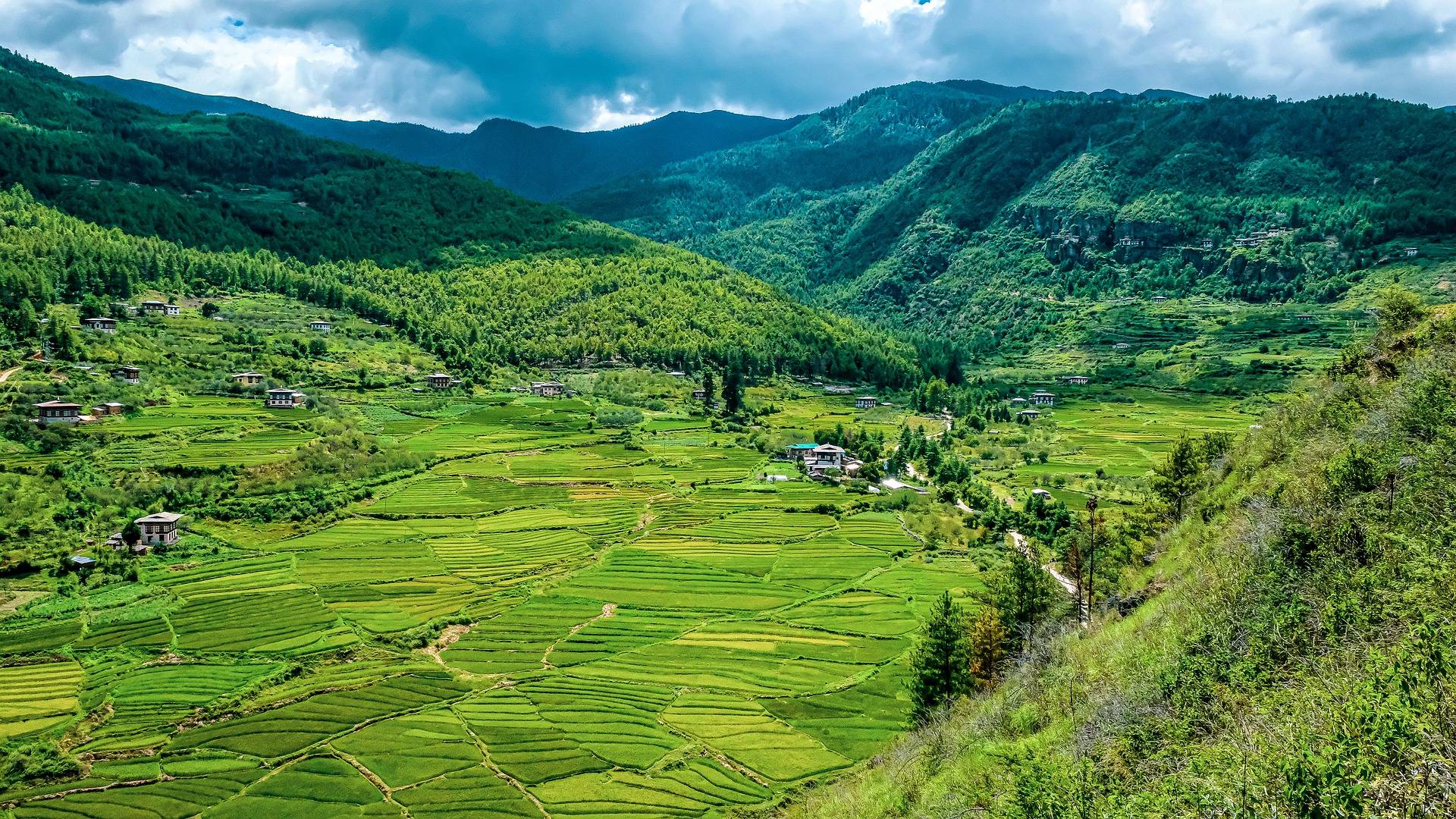 agriculture riz bhoutan credit Pixabay Kira Pham