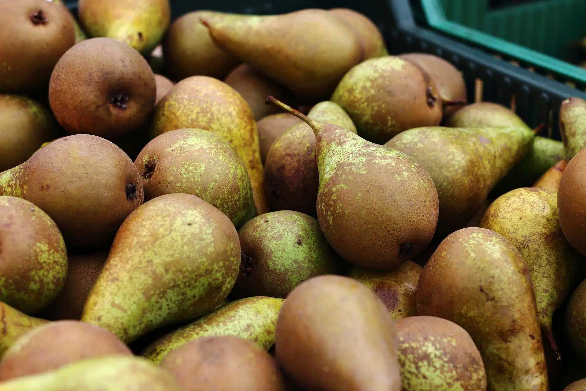 poire dgccrf anpp fraudde