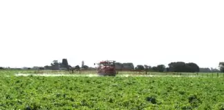 pesticides un rapport biaise (1)