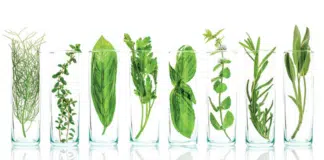 nouvelles techniques génémique CTPS