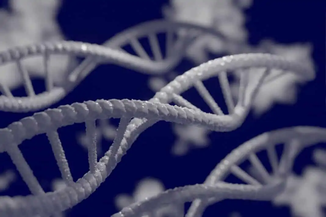 biotechnologies vegetales ogm mutageneses
