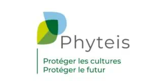 logo Phyteis