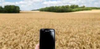 Agritwittos-Innovation-Connecté-smartphone-blé-téléphone-mobile-Normandie-Eure-Crédit-photo-_-Nadège-PETIT-@agri_zoom