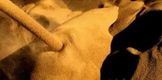 Crédit photo _ @Barjotnicolas