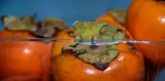 fruits emballage plastique2