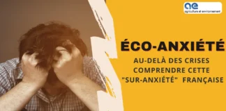 anxiete une sur anxiete francaise