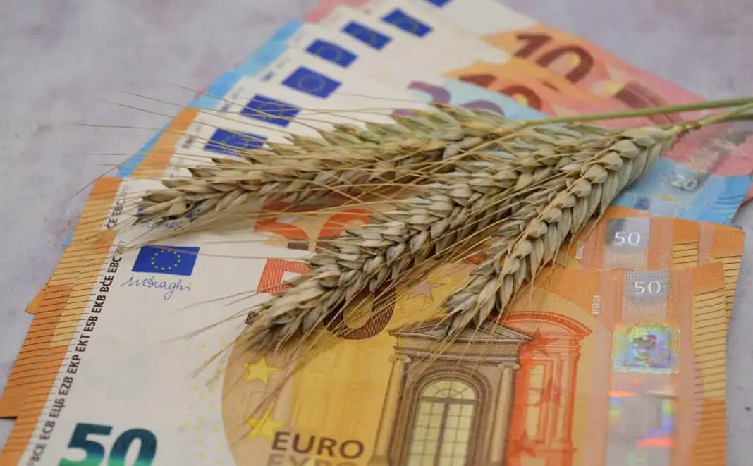 du cheque alimentaire à la prime inflation