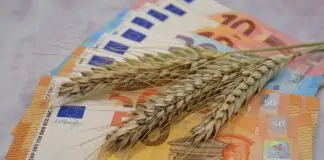 du cheque alimentaire à la prime inflation