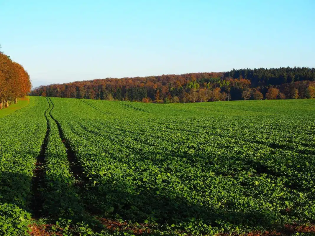 L'industrie de la fertilisation maillon essentiel de notre souveraineté alimentaire