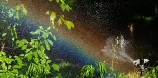 irrigation stockage eau