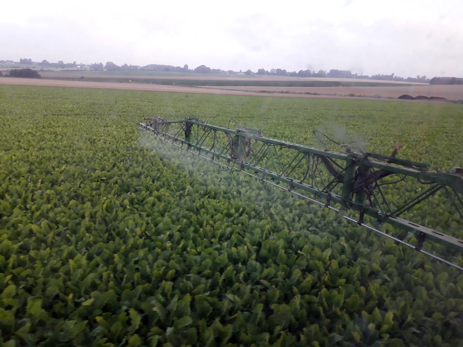 Réduction des pesticid