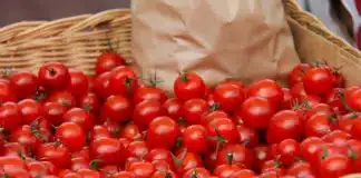 agriculture montee en gamme tomates cerises