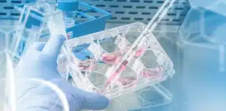 ntg nouvelles techniques genomiques