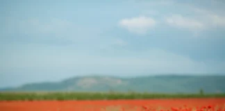 automne des associations antipesticides