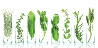 nouvelles techniques geneomique ngt ctps