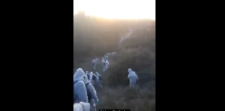 violence ecologiste ecosabotage Lafarge