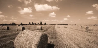 Collectif Nourrir: l'utopie du million agriculteur en 2050