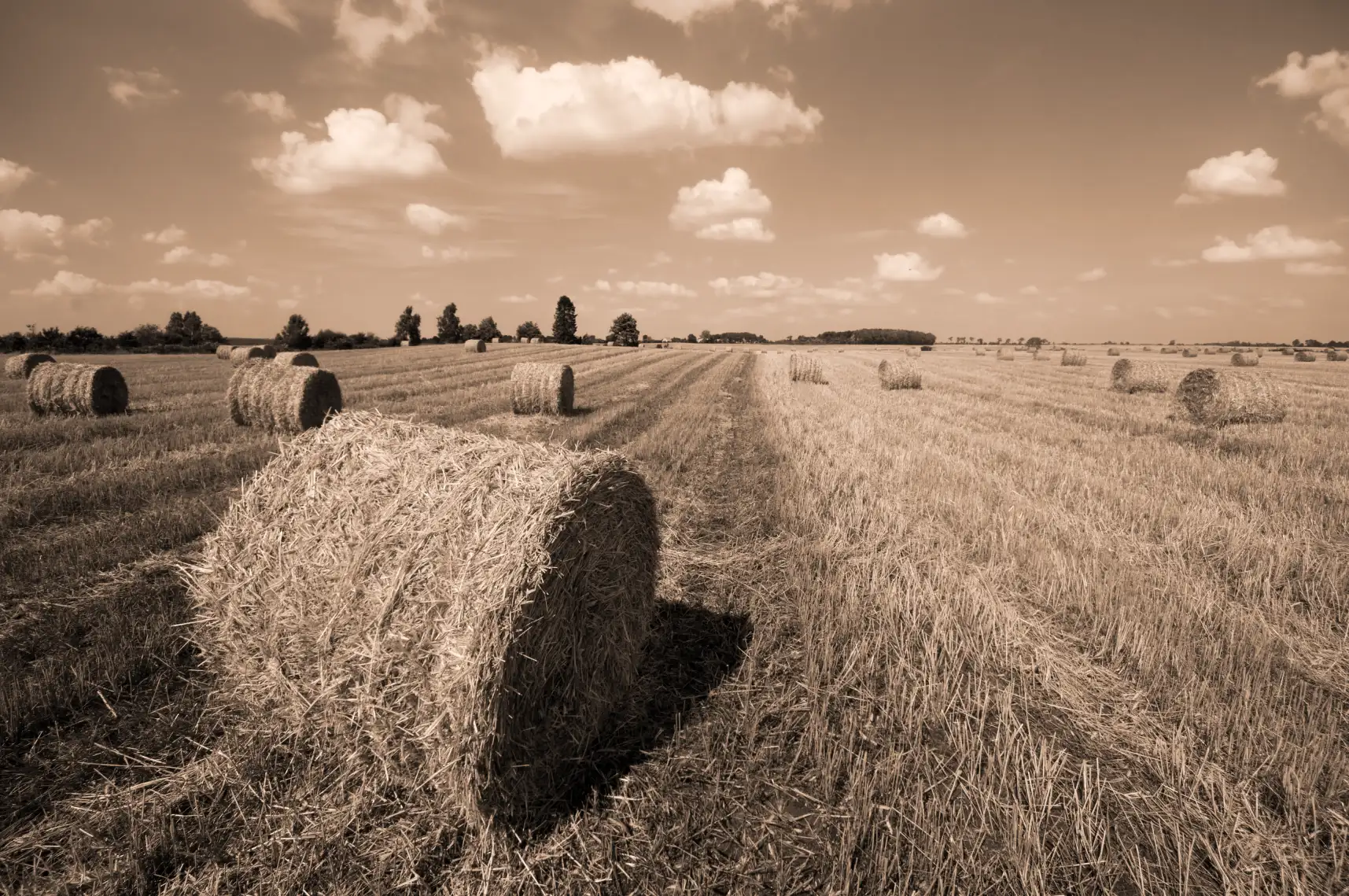 Collectif Nourrir: l'utopie du million agriculteur en 2050