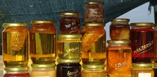 apiculture fraude miel