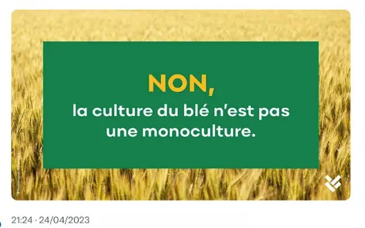 La France spécialisée dans les céréales. Réponse de l'Intercéréales. La culture du blé n'est pas une monoculture
