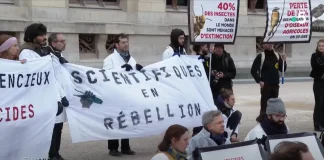 Les scientifiques en rebellion contre l'inaction climatique - Reportage cdanslair 08.03.2023