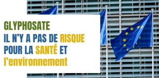 Glyphosate : il n’y a pas de risque pour la santé et l’environnement