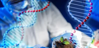NGT - Nouvelles Techniques Génomiques encore parsemé d'obstacles