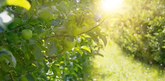 natura 2000 instruction prefet vergers