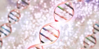 NGT le pavé dans la marre de l'Anses