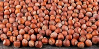 Une France sans producteurs de noisettes ?