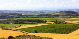 Plan de souverainete alimentaire