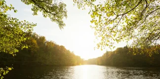 Les antibassines a nouveau mobilité